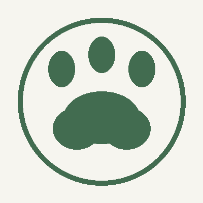 AION 2 Pets