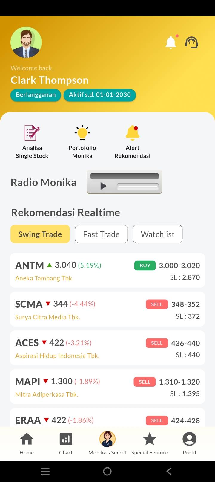 Monika PanenSAHAM features