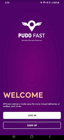 Pudofast - Secured Delivery Services features